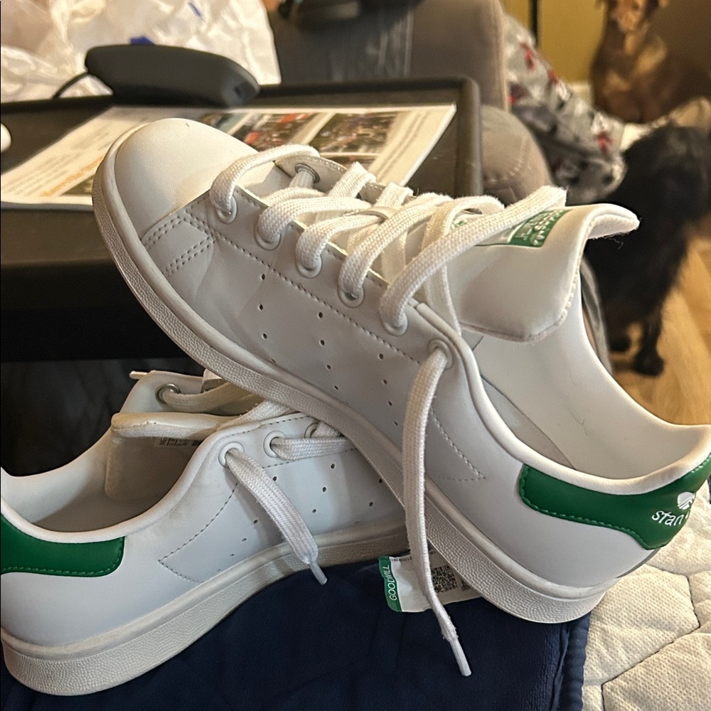 the Adidas Stan Smith, a classic tennis-inspired shoe.